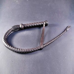 About Whipping Cams Famous Figures under a whip