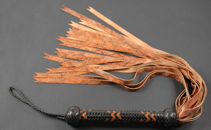 Whipping Cams: Pleasures of Whipping in Sexual Dynamics