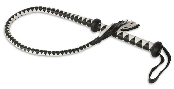 Whipping Cams: Whip Can Be the Best Gift for The Connoisseur