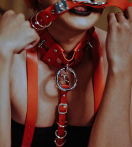 BDSM Sex Toys Bring Your Fantasies to Life