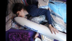 Objectum Sexuality Cams