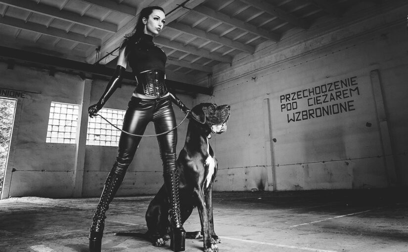 Femdom Webcams: Dominat vs Dominatrix – what is the difference 